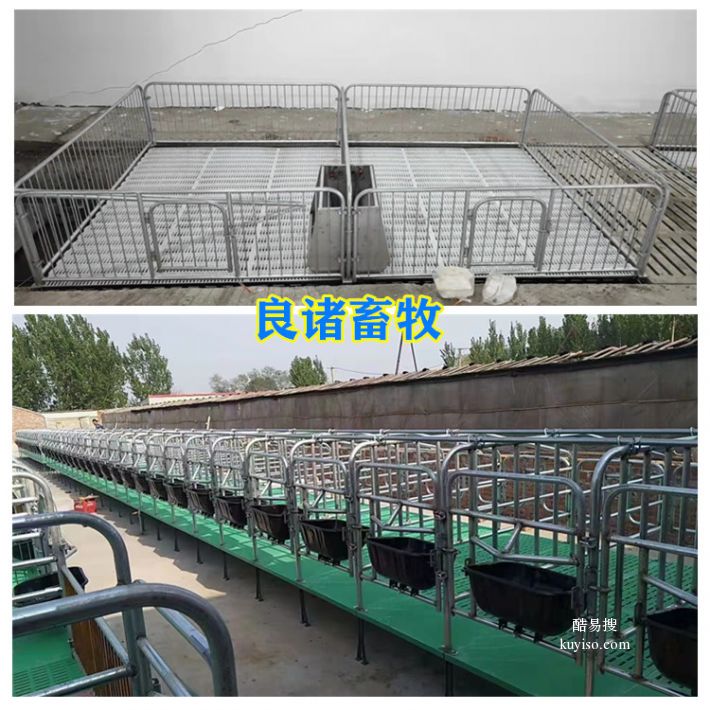 现代化养猪设备猪用限位栏定位栏母猪定位栏厂家
