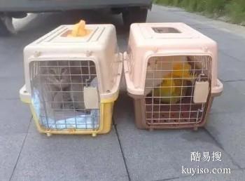 国内国际宠物托运公司 滁州专业宠物专项托运业务 诚信靠谱