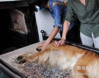 滁州宠物殡葬全方位服务,滁州宠物遗体火化