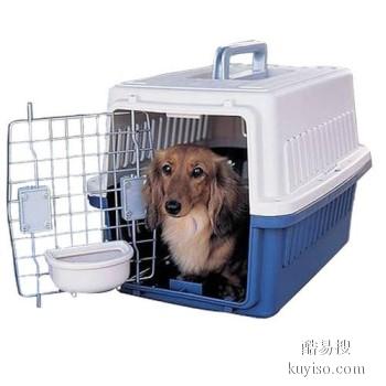 服务优质，认真细致 安阳专业宠物托运 提供水粮 有氧环境