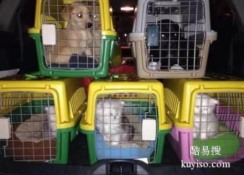 滨州专业宠物托运 国内一对一服务 安全快捷可上门接