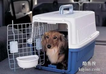 信阳宠物运输 宠物出国 国际宠物托运
