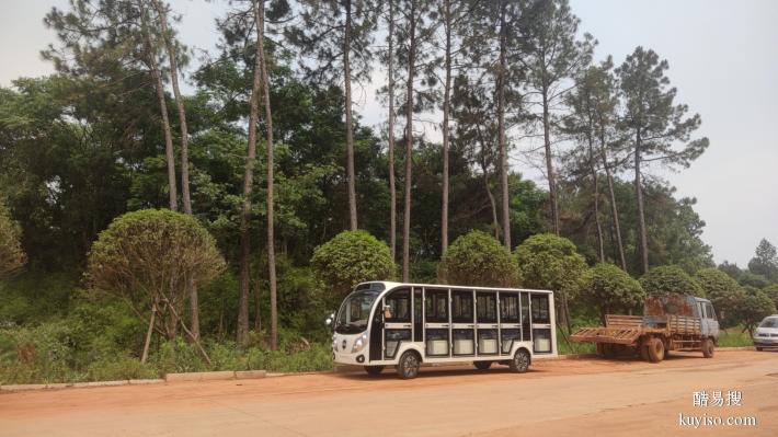 湖南電動(dòng)景區(qū)游覽擺渡車