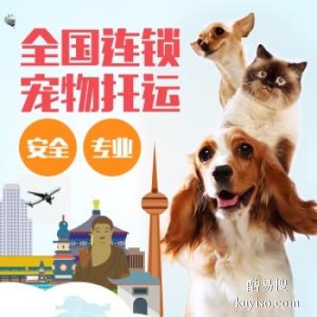 上海宠物活体托运公司