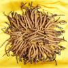 蚌埠市回收冬虫夏草-干草按根-公斤-均重计算克价格