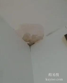 荷塘楼顶防水补漏工程 屋顶漏水补漏 厂房渗水补漏公司