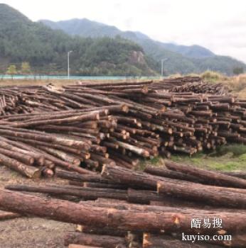 邯郸肥乡常年供应杨木杆 松木杆 松木桩 道木批发公司