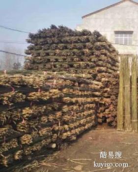沧州黄骅木模板 木跳板 竹梯子 防汛木桩批发电话