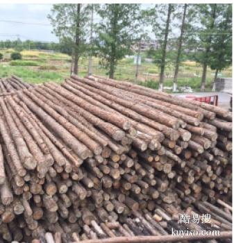 沧州南皮常年供应杨木杆 松木杆 松木桩 道木批发电话
