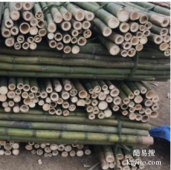 邯郸广平常年供应松木桩 竹笆片 植树杆 竹片批发厂家