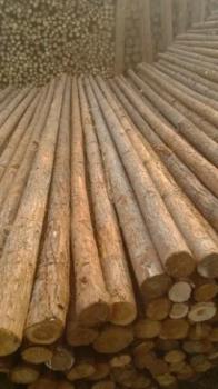 保定高新区木模板 木跳板 竹梯子 防汛木桩批发公司