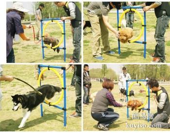 漳州长泰宠物训练学校 工作犬行为训练 接送上门
