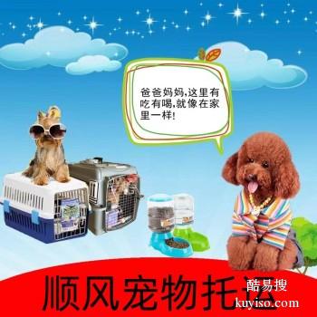 许昌禹州宠物托运承接全国猫狗活体运输上门接送