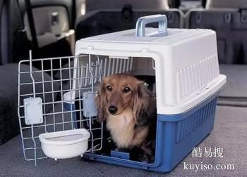 六安宠物托运专车安全的服务 服务文明 耐心周到