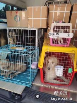 枣庄本土宠物托运 数年托运经验 安全可靠 放心之选