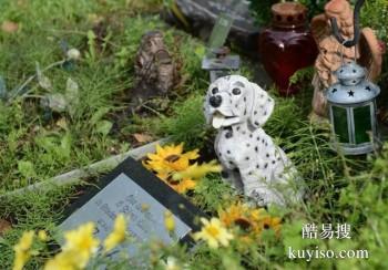 蚌埠宠物埋葬 宠物纪念馆 宠宝服务联系方式