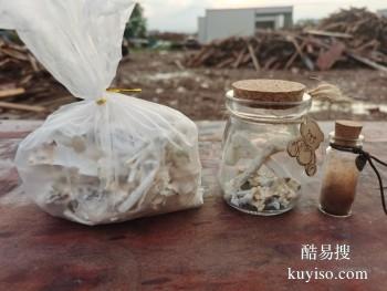 台州宠物火化过程 宠物骨灰抛洒 回归自然 宠宝火化公司