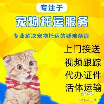 六安市宠物托运 猫狗活体运输邮寄 上门接送