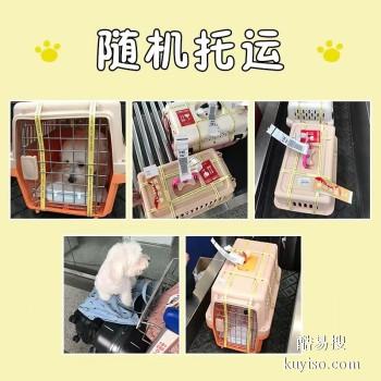 安阳汤阴专业猫狗托运 上门接送 宠物托运至全国
