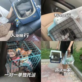滁州市专业猫狗托运 上门接送 宠物托运至全国