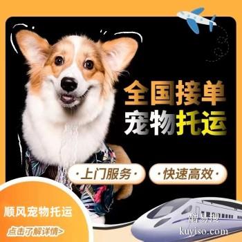 霍山宠物猫狗航空托运代办手续上门接送