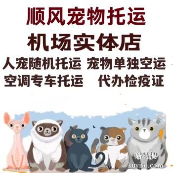 镇江扬中 宠物托运小猫小狗活体托运快递至全国