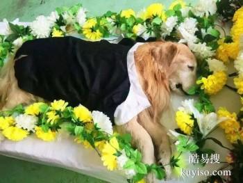 枣庄宠物埋葬 宠物纪念馆 宠宝服务电话
