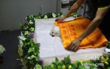 珠海宠物时光纪念机 宠物纪念馆 宠宝殡葬联系方式