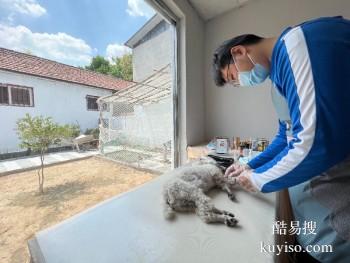 平顶山宠物埋葬 宠物纪念馆 宠宝归属联系方式