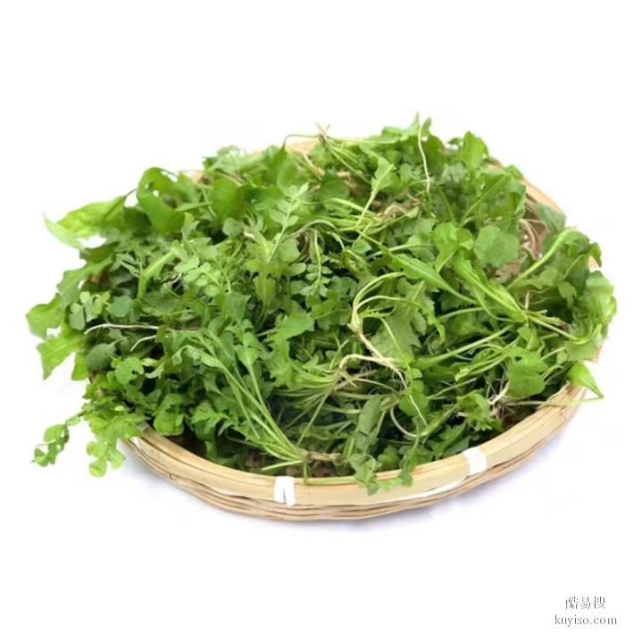 广昇和食堂蔬菜承包 西安蔬菜配送 西安食材配送