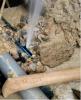 六安金寨消防水管漏水检测 自来水管查漏 地下暗管查漏水
