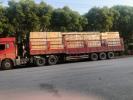 桂林到铁岭物流公司专线 整车零担货运 大件设备运输