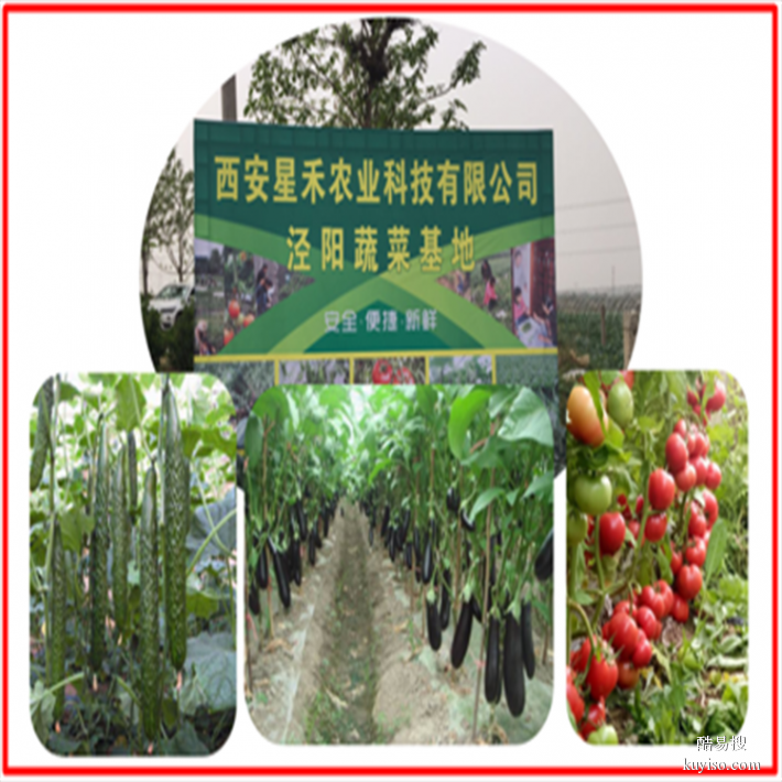 陕西省绿色食材蔬菜配送公司 专业送菜服务中心