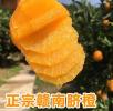 汉中赣南脐橙价格多少？