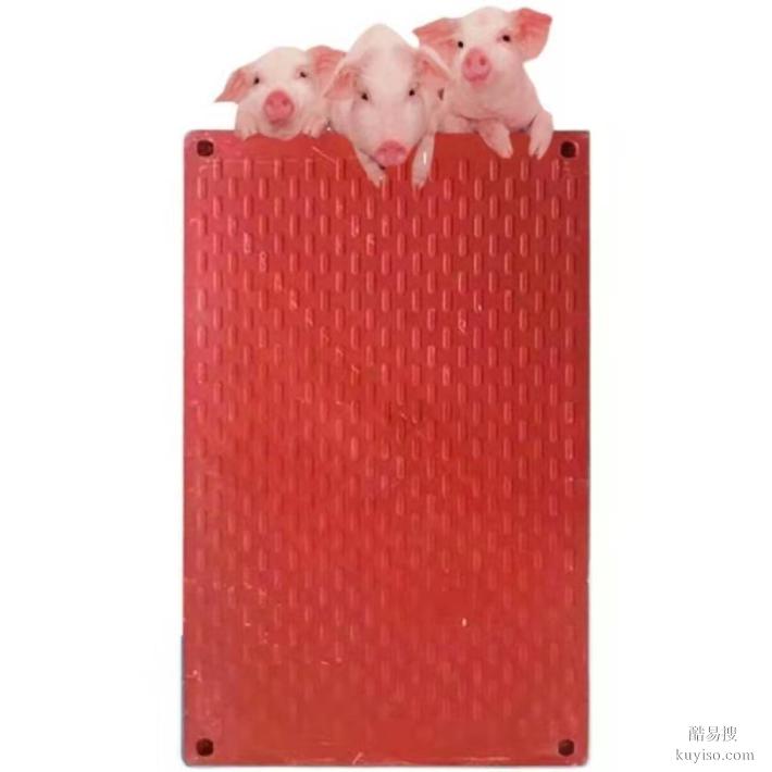 碳纤维电热板 仔猪电热板 养殖专用电热板