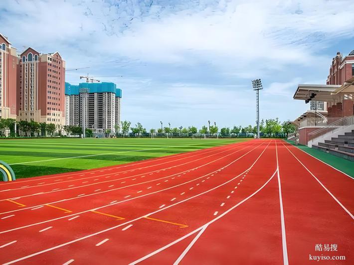 塑胶跑道 预制型塑胶跑道 足球场塑胶跑道 塑胶跑道价格