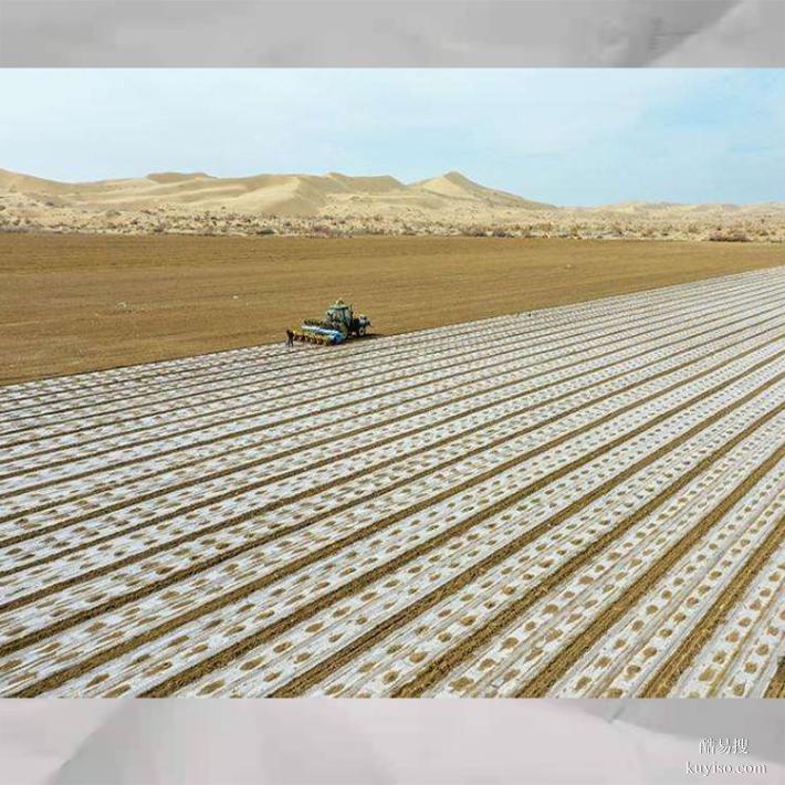 新疆和田防风固沙剂植树造林荒漠绿化种子能破土