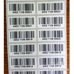 供應(yīng)可變條碼表格印刷