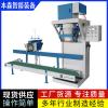 車用尿素全自動(dòng)敞口包裝機(jī)