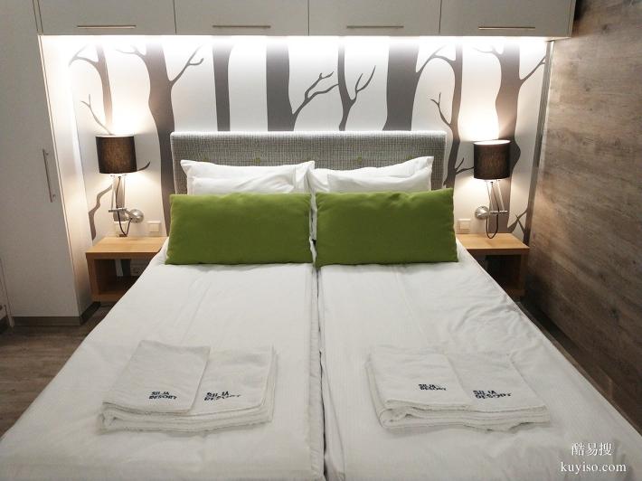 芬蘭瑞典夜郵輪  圖爾庫瑞典郵輪 Tallink Silja 輪渡預訂
