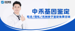 民眾做一份DNA親子鑒定大概需要多少錢（附鑒定報(bào)價(jià)明細(xì)）