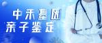 橋西區(qū)熱門上戶口親子鑒定機構（附2025年地址一覽）