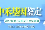 東港當(dāng)?shù)貙I(yè)無(wú)創(chuàng)親子鑒定機(jī)構(gòu)大全（附2025年鑒定流程指南）