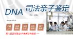 鄭州合法懷孕親子鑒定正規(guī)機(jī)構(gòu)一覽（孕五周既可以）