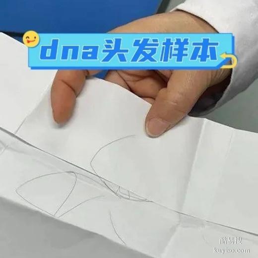 金華孕期親子鑒定準不準？科學(xué)解析與實用指南-dna機構(gòu)科普