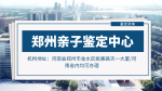 鄭州11個個人親子鑒定詳盡機(jī)構(gòu)名單(含2026年鑒定流程)