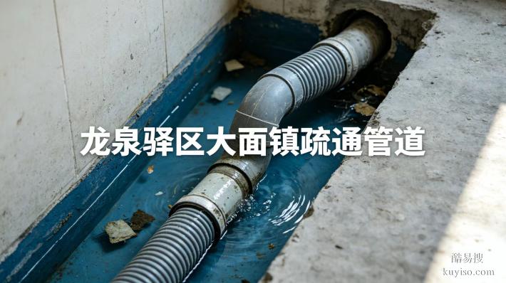 龍泉驛區(qū)大面鎮(zhèn)疏通管道專(zhuān)治各種堵塞熱線