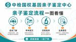 全面梳理!湛江懷孕親子鑒定機(jī)構(gòu)匯總(附2026年辦理攻略)