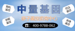 恩平市合法個(gè)人無創(chuàng)產(chǎn)前親子鑒定收費(fèi)一覽(附2026年鑒定匯總)