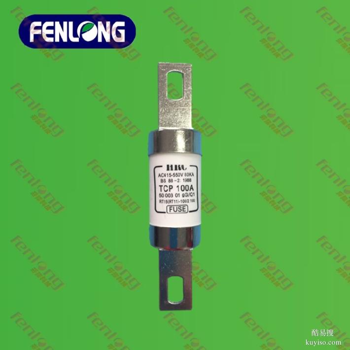 RS96-500V/200A低壓熔斷器